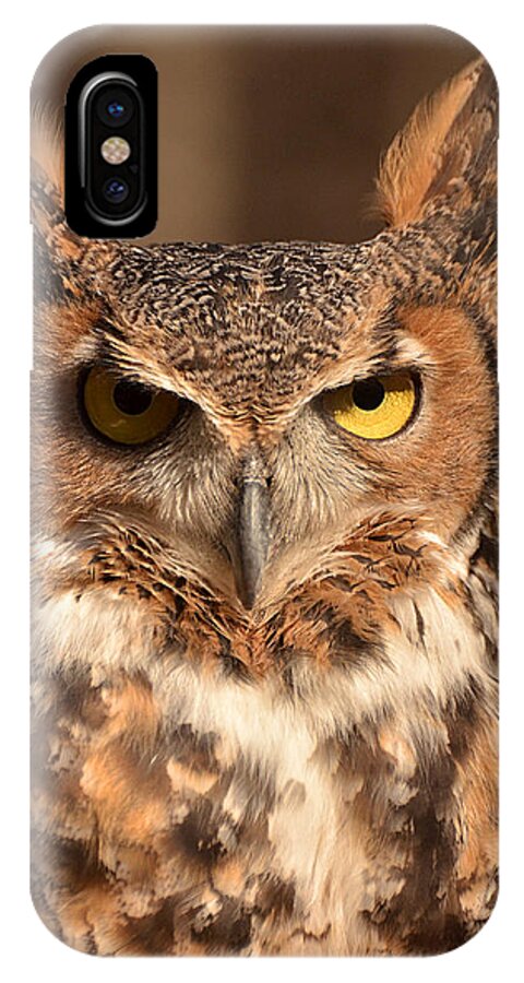 Great Horned Owl iPhone X Case featuring the photograph Great Horned Owl by Nancy Landry
