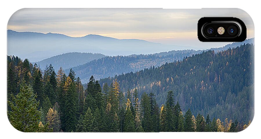 Coeur D'alene National Forest iPhone X Case featuring the photograph Green and Gold Forest by Idaho Scenic Images Linda Lantzy