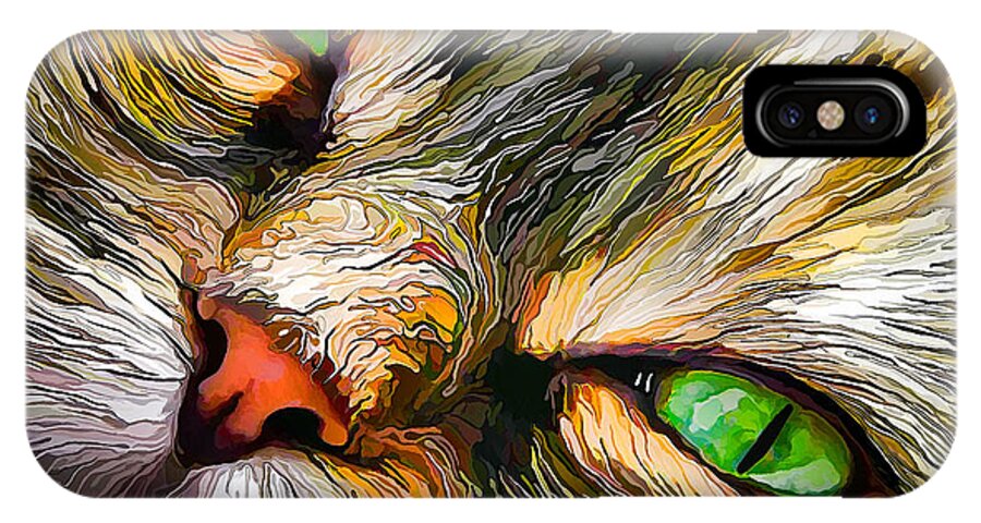 Nature iPhone X Case featuring the digital art Green-Eyed Tortie by ABeautifulSky Photography by Bill Caldwell