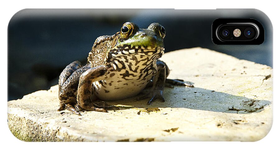 Jma iPhone X Case featuring the photograph Green Frog - Lookin at Yah by Janice Adomeit
