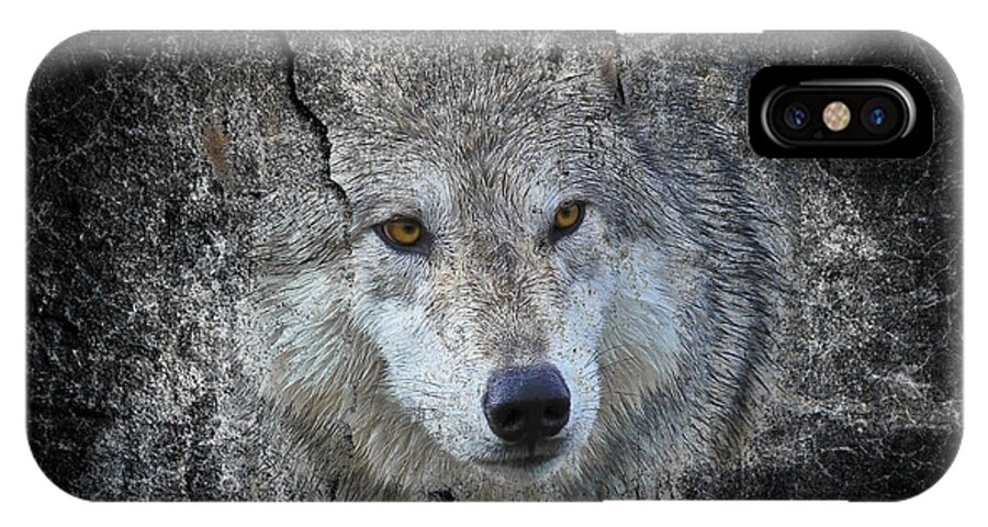 Wolves iPhone X Case featuring the photograph Grey Stone by Athena Mckinzie