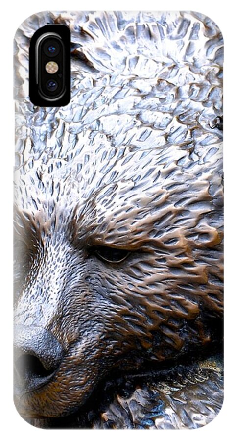 Grizzly Bear iPhone X Case featuring the photograph Grizzly by Norma Brock