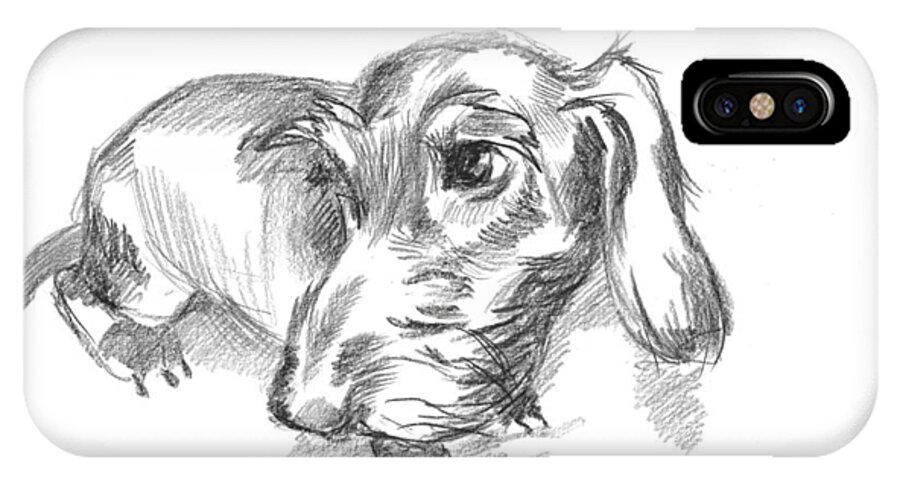 Dachshund iPhone X Case featuring the drawing Guilty-looking young wire-haired dachshund by Alena Nikifarava