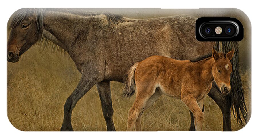 H Is For Horse iPhone X Case featuring the photograph H is for Horse by Priscilla Burgers