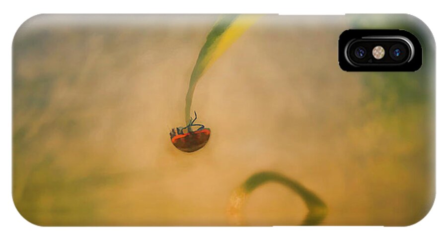 Ladybug iPhone X Case featuring the digital art Hang In There by Diane Dugas