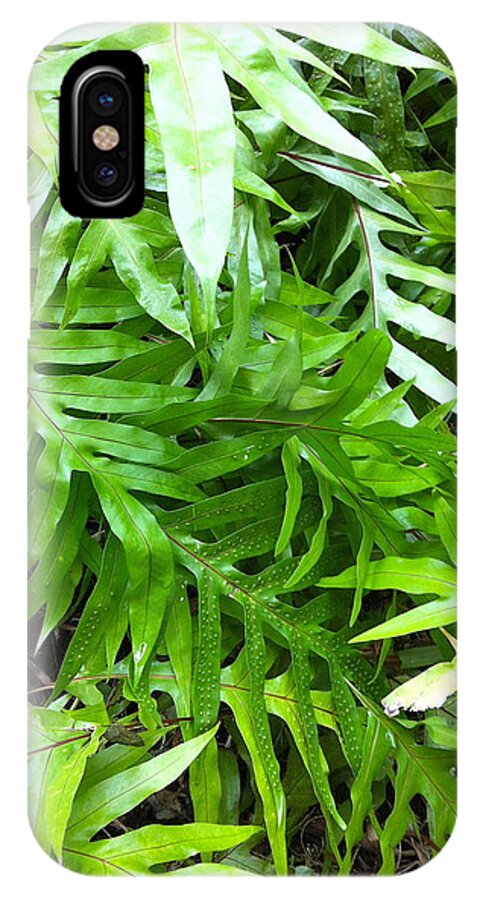 Hawaiian iPhone X Case featuring the photograph Hawaiian Foliage by Angela Bushman
