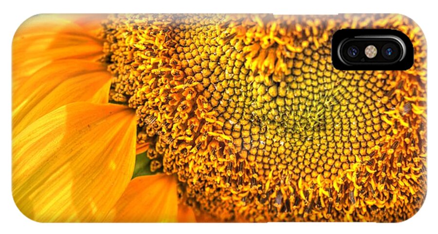 Sunflower iPhone X Case featuring the photograph Heart-felt Sunflower by Scott Carlton