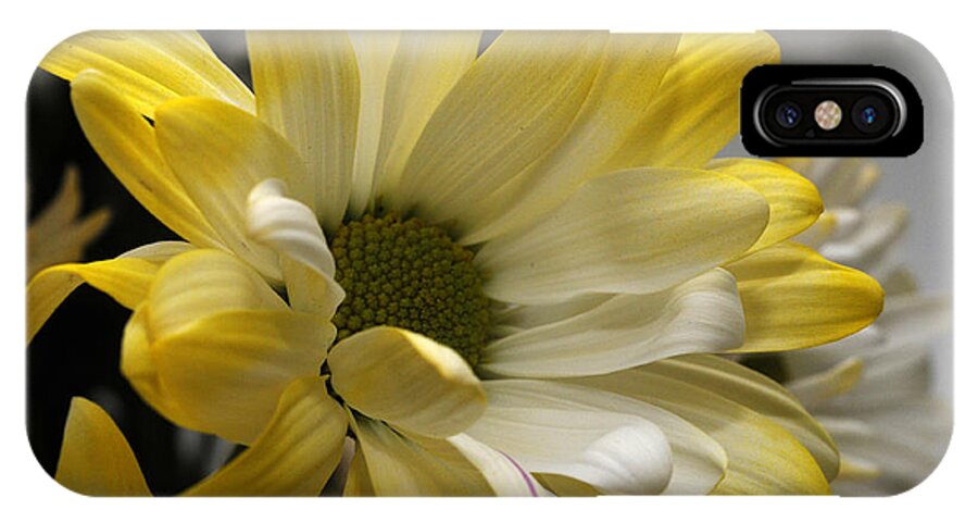 Daisy iPhone X Case featuring the photograph Hello Sunshine by Wanda Brandon