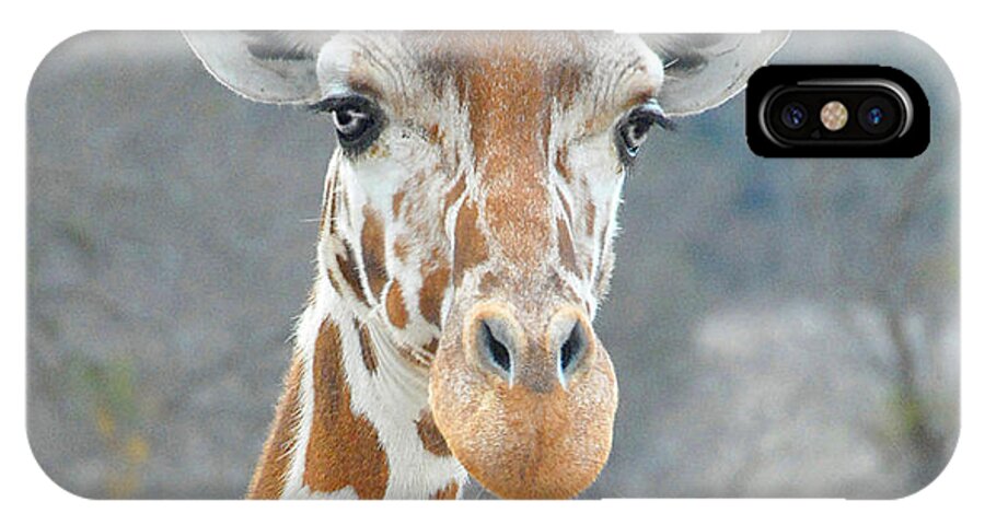 Giraffe iPhone X Case featuring the photograph Here's Lookin' at You by Dyle  Warren