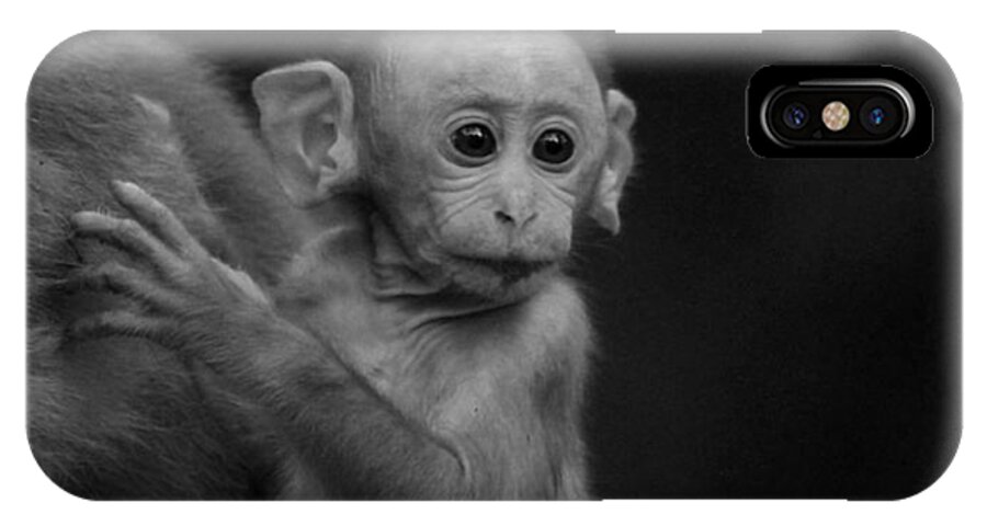 Baby Monkey iPhone X Case featuring the photograph Hey mom look what is there by Ramabhadran Thirupattur