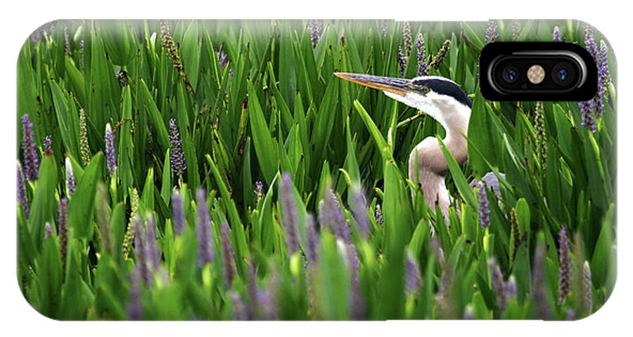 Great Blue Heron iPhone X Case featuring the photograph Hiding by Sabrina L Ryan