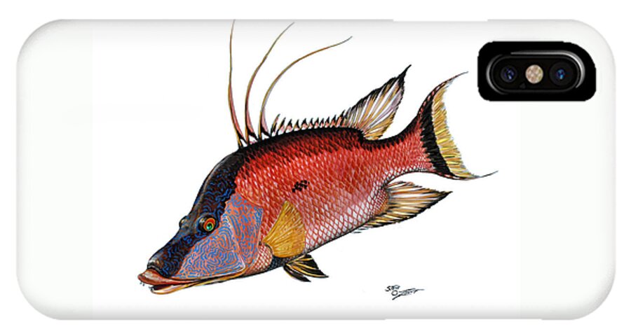 Hogfish iPhone X Case featuring the painting Hogfish on white by Steve Ozment