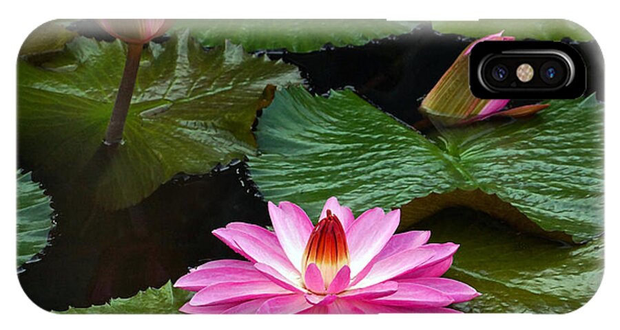 Hot Pink iPhone X Case featuring the photograph Hot Pink And Green Tropical Waterlilies by Byron Varvarigos