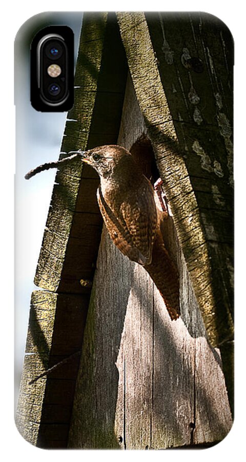House Wren iPhone X Case featuring the photograph House Wren at Nest Box by Onyonet Photo studios
