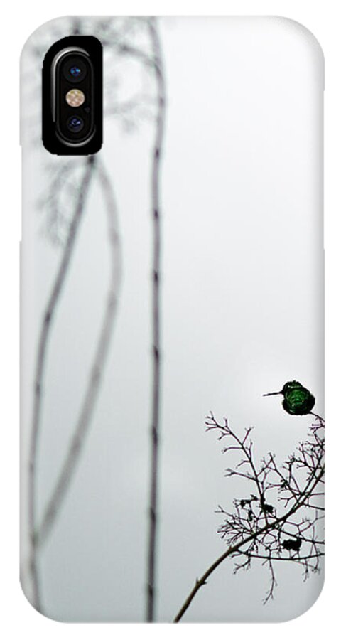Hummingbird iPhone X Case featuring the photograph Hummingbird in Fog 2 by Rebecca Cozart