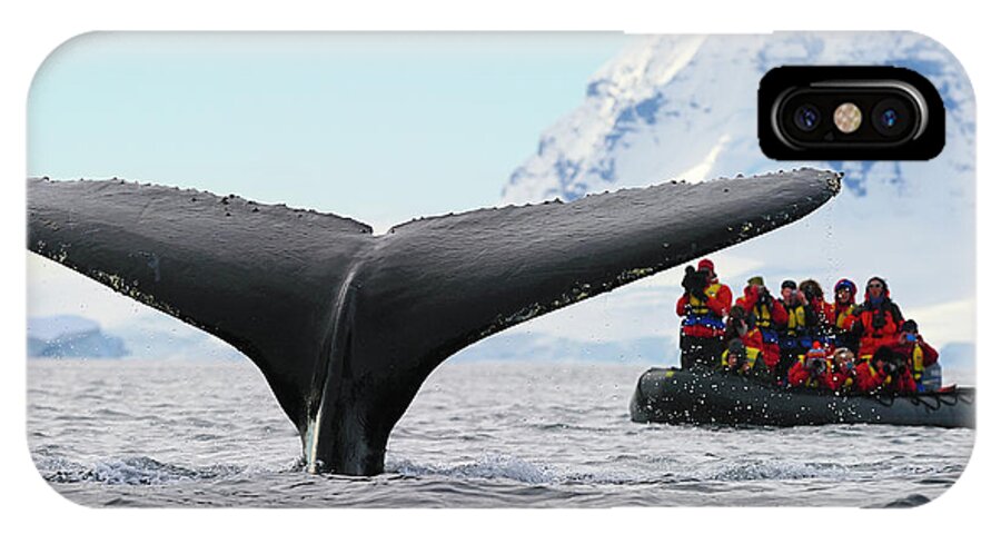 Humpback Whale (megaptera Novaeangliae) iPhone X Case featuring the photograph Humpback Whale Fluke by Tony Beck