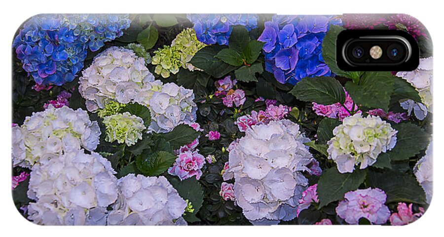 Hydrangea iPhone X Case featuring the photograph Hydrangeas by Garry Gay