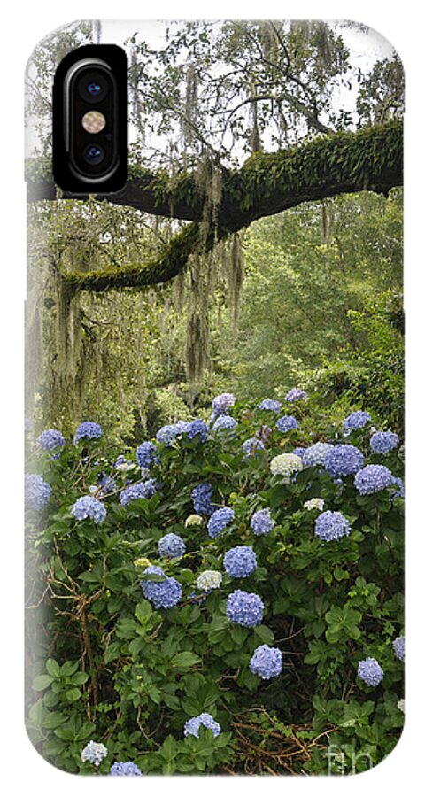 Mcclellanville iPhone X Case featuring the photograph Hydrangeas in the Village by Cheryl McClure