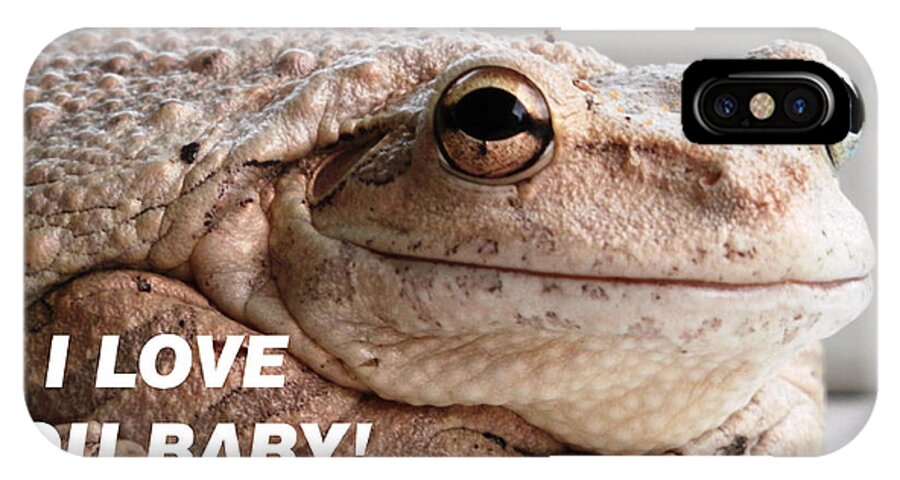 Very Handsome iPhone X Case featuring the photograph Frog Declaration of Love by Belinda Lee