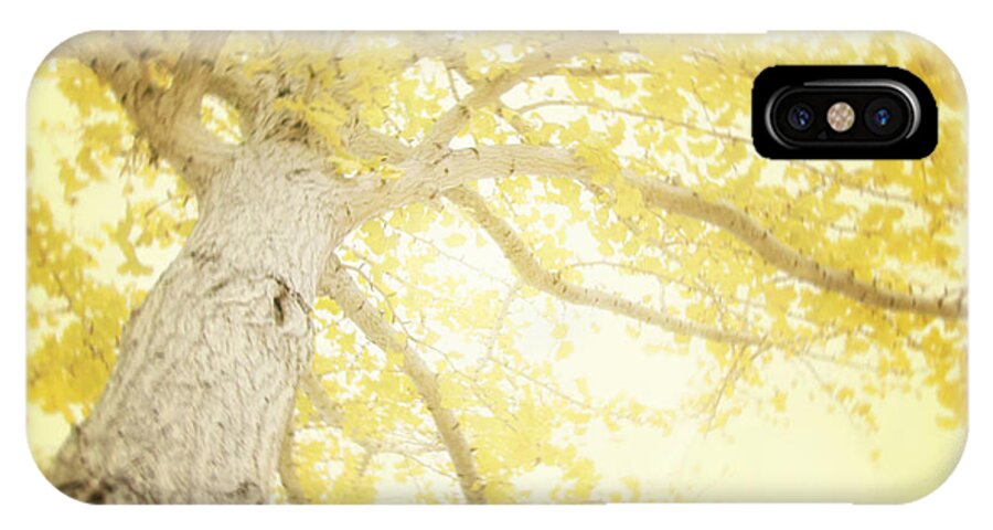 Yellow Tree iPhone X Case featuring the photograph I Will Remember You by Amy Tyler