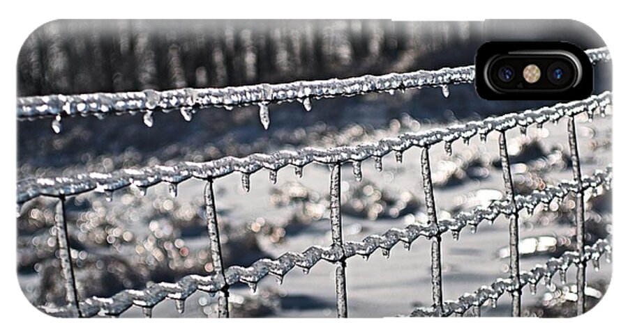 Fence With Ice Coverings iPhone X Case featuring the photograph Ice Fence by Douglas Pike