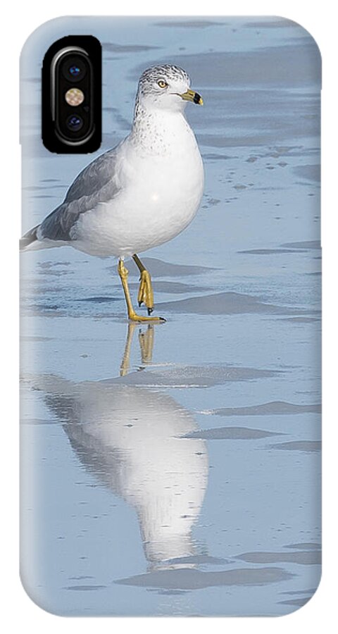 Bird iPhone X Case featuring the photograph Ice Fishing by Jennifer Grossnickle
