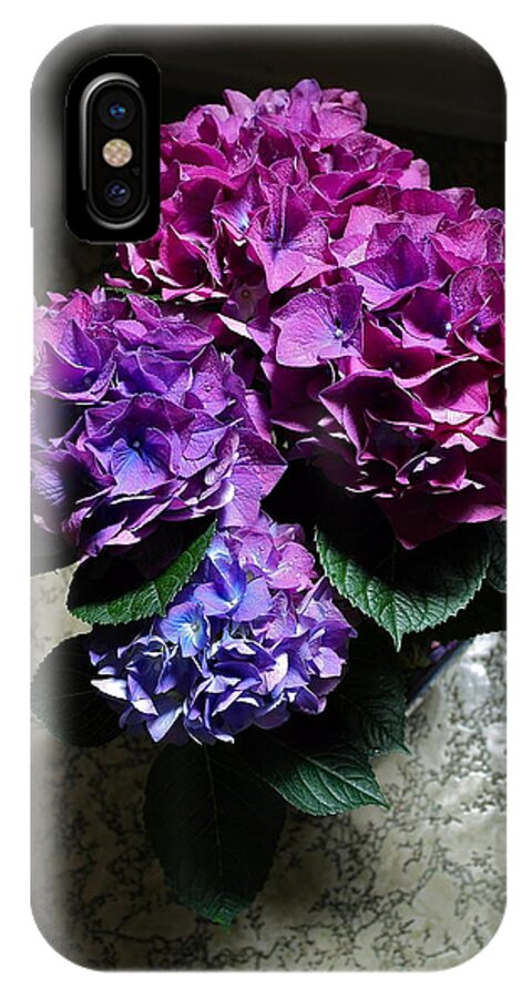 Hydrangea iPhone X Case featuring the photograph Illuminated Hydrangea by Michele Myers