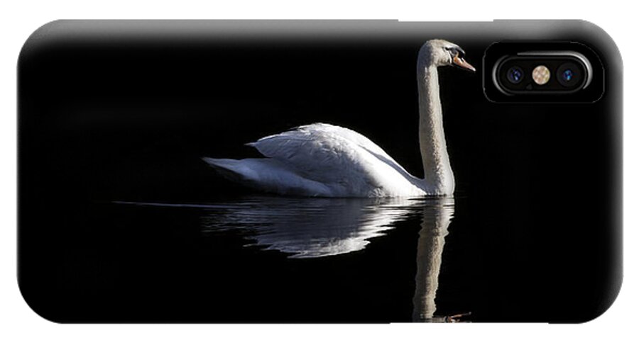 Swan iPhone X Case featuring the photograph In the Morning Light by Craig Szymanski