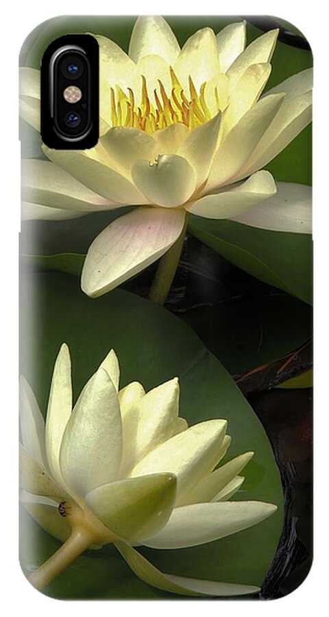 Lilly Pad iPhone X Case featuring the photograph In the Pond by Michele Nelson