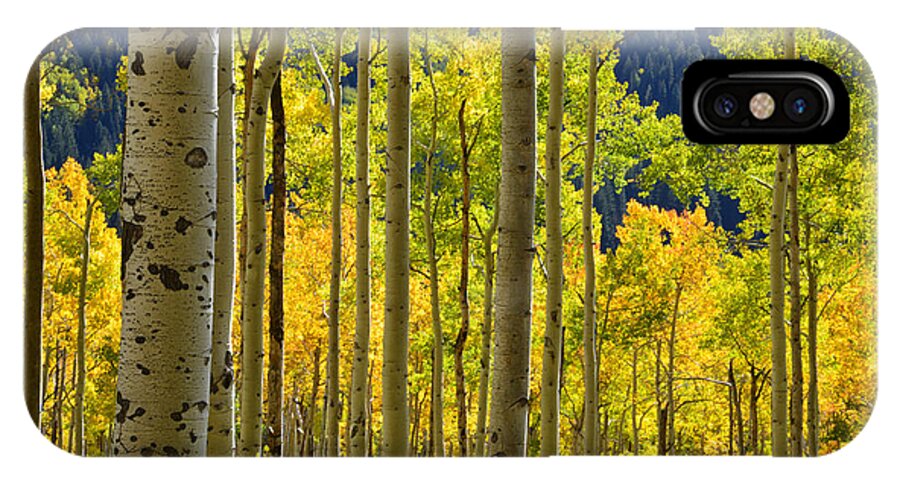 Colorado Fall Colors iPhone X Case featuring the photograph Independence Pass Fall Colors by Ray Mathis