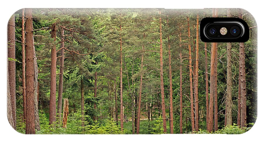 Woods iPhone X Case featuring the photograph Into the Woods by Tony Murtagh