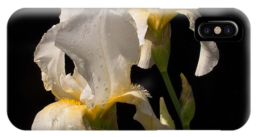Flower iPhone X Case featuring the photograph Iris Cream by Don Spenner
