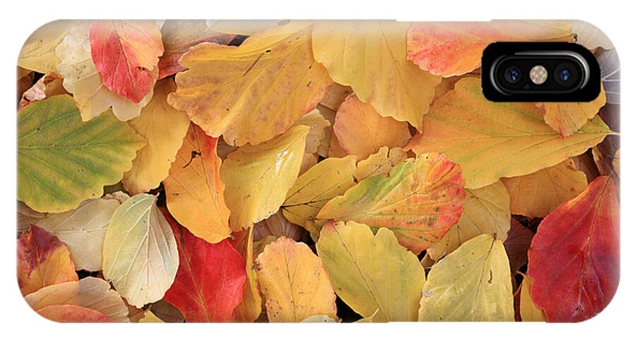 Nature iPhone X Case featuring the photograph Ironwood Leaves by Gerry Bates