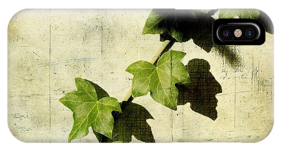 Ivy iPhone X Case featuring the photograph Ivy by Ellen Cotton