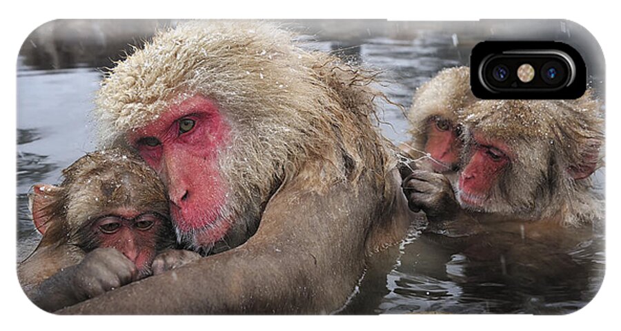 Thomas Marent iPhone X Case featuring the photograph Japanese Macaque Grooming Mother by Thomas Marent