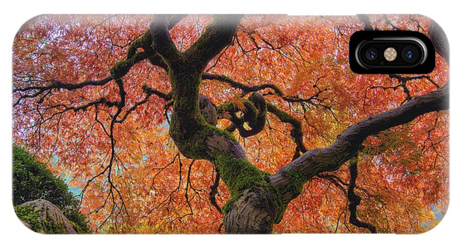 Japanese iPhone X Case featuring the photograph Japanese Maple Tree in Fall by David Gn
