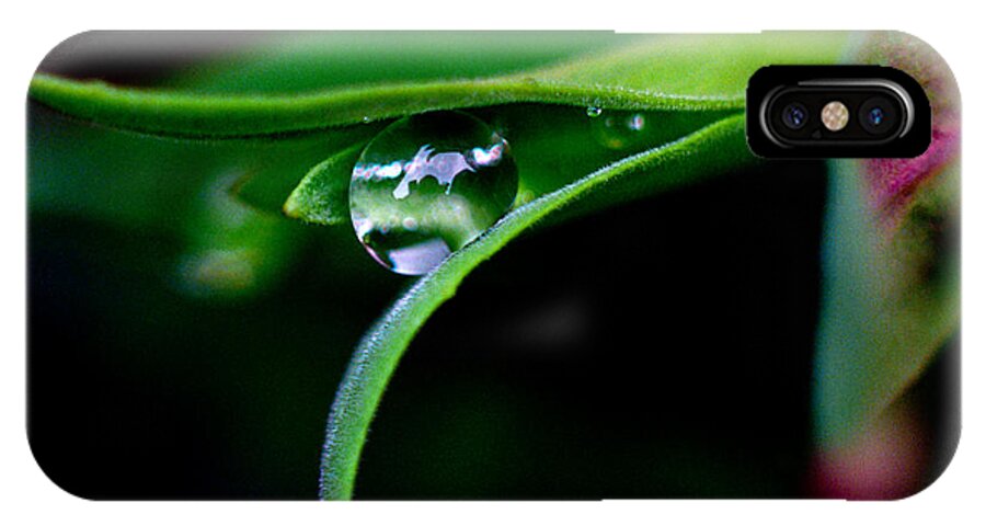 Wild Flowers iPhone X Case featuring the photograph Jasper - Rain Drop Plant by Terry Elniski