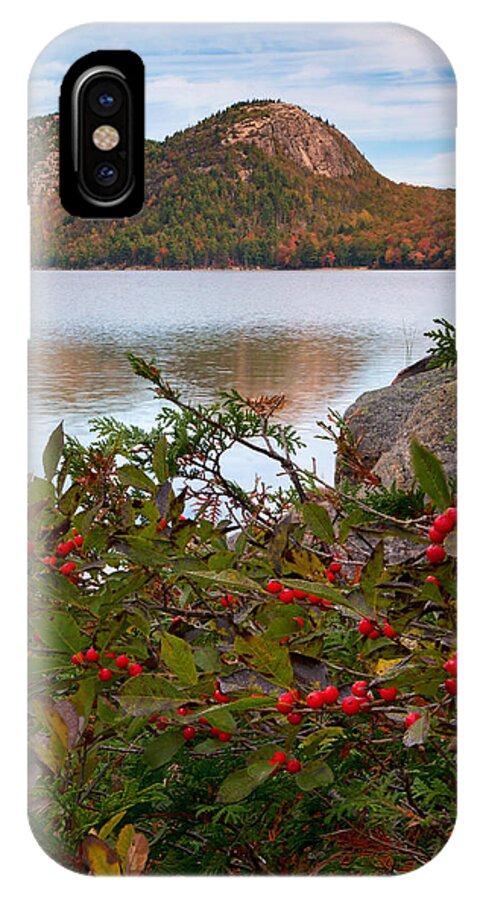 Acadia iPhone X Case featuring the photograph Jordan Pond with Berries by Darylann Leonard Photography