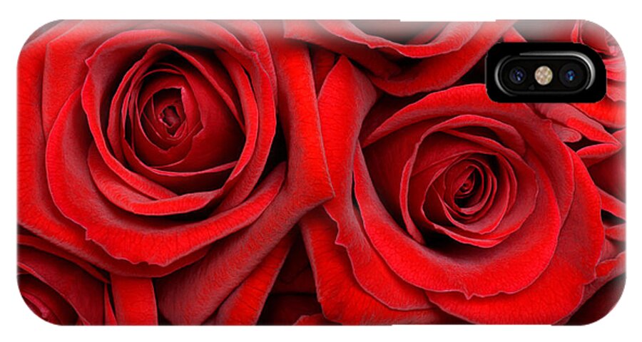 Valentine's Day iPhone X Case featuring the photograph Just red roses by Rosemary Calvert
