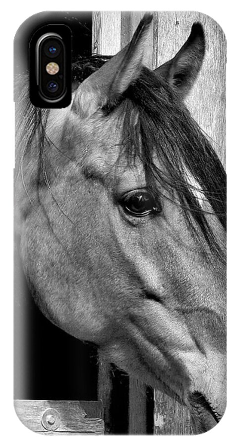 Equine iPhone X Case featuring the photograph Kazzmeire by Julia Hassett
