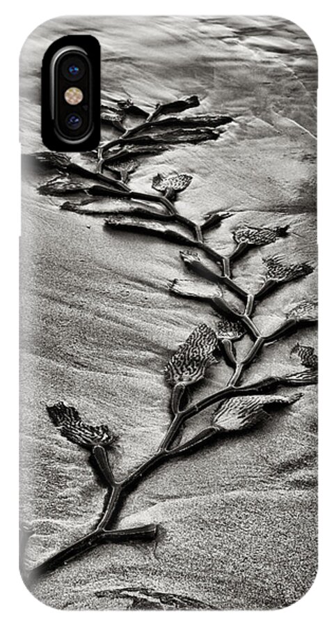 Kelp iPhone X Case featuring the photograph Kelp Snake by Robert Woodward
