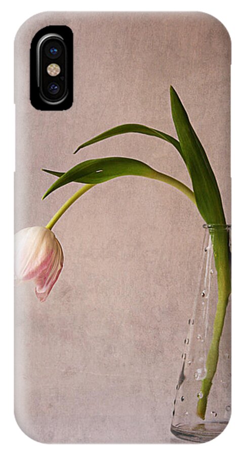 Tulip iPhone X Case featuring the photograph Kiss Of Spring by Claudia Moeckel