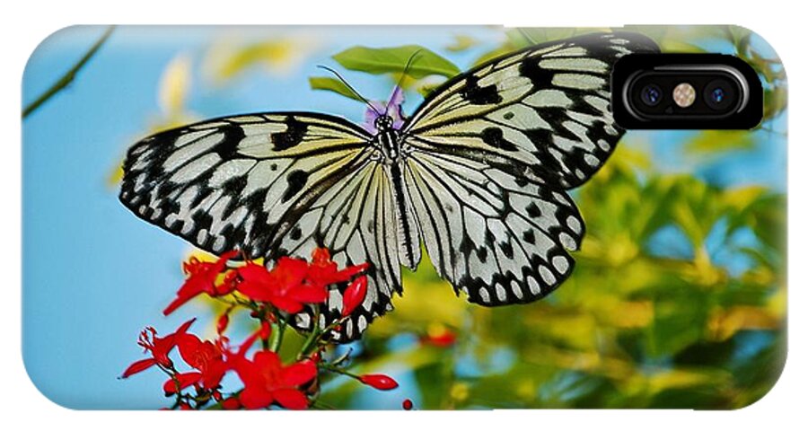 Nature Photography iPhone X Case featuring the photograph Kite Butterfly by Peggy Franz