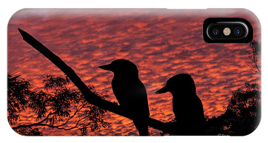 Kookaburras iPhone X Case featuring the photograph Kookaburras at sunset by Sheila Smart Fine Art Photography