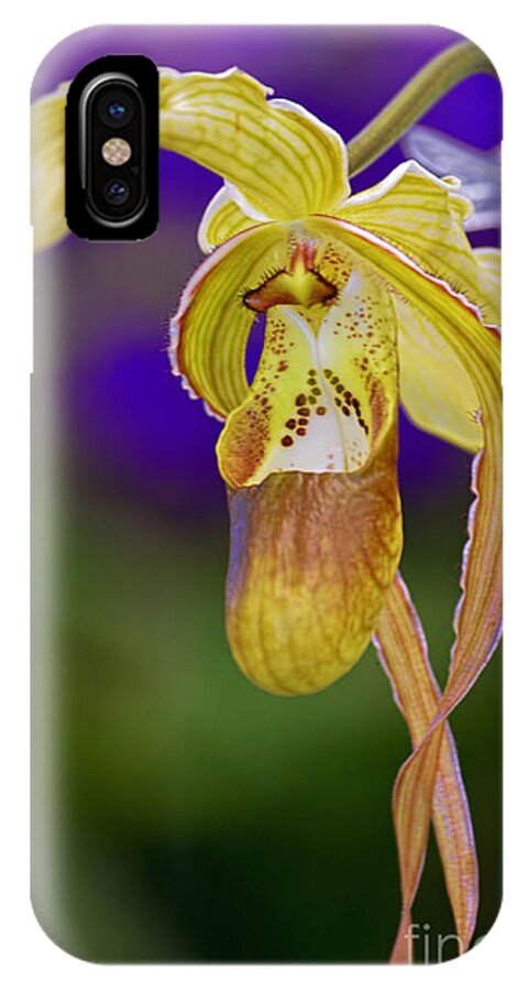 Lady Slipper Orchid iPhone X Case featuring the photograph Lady Slipper Orchid by Aloha Art