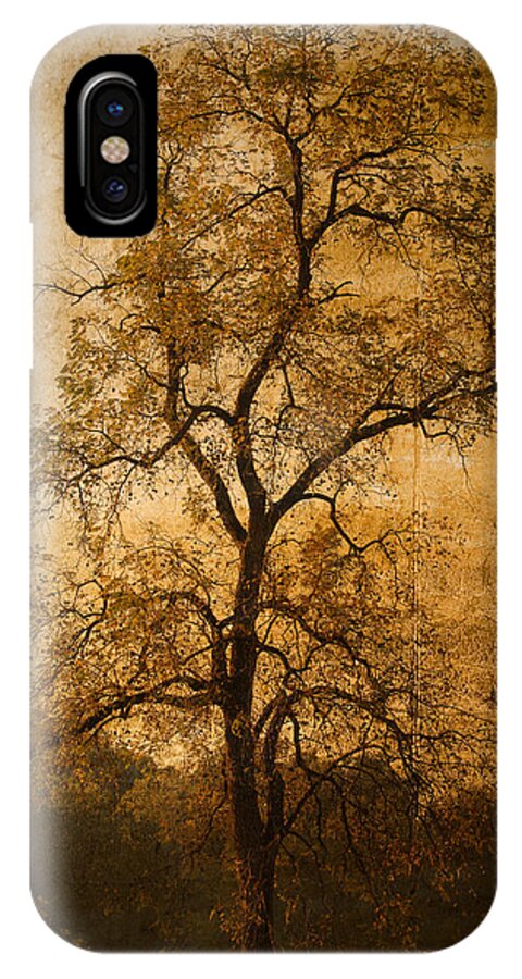 Landscape iPhone X Case featuring the photograph Last Fall by Lena Wilhite
