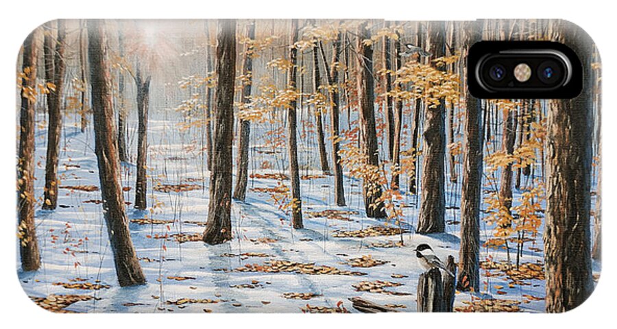 Jake Vandenbrink iPhone X Case featuring the painting Late Fall Early Winter by Jake Vandenbrink