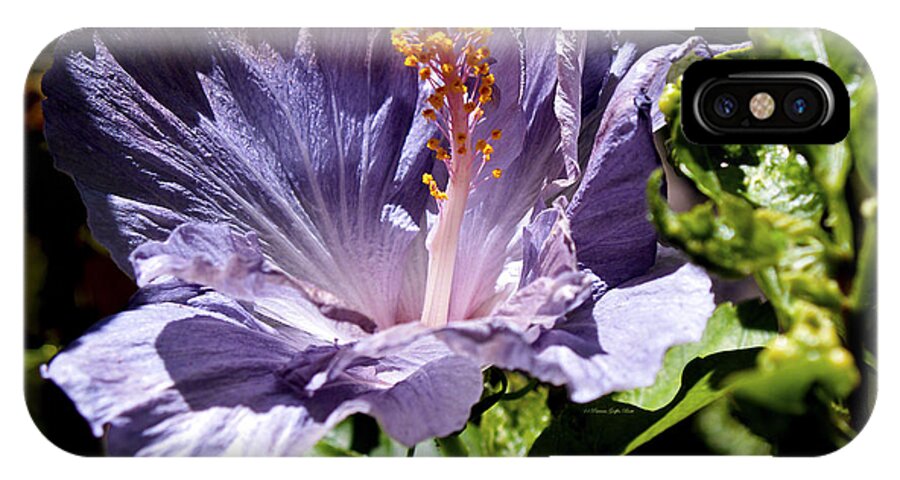 Fine Art Photography iPhone X Case featuring the photograph Lavender Hibiscus by Patricia Griffin Brett