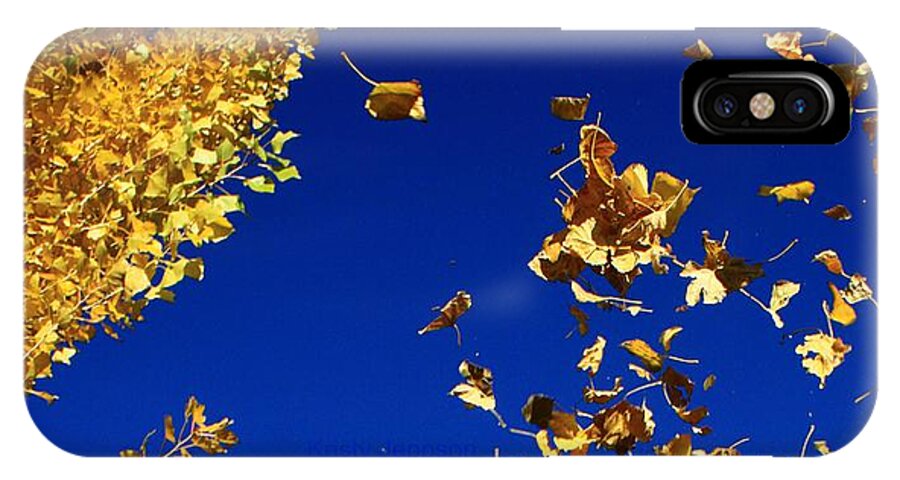 Leaf iPhone X Case featuring the photograph Leaves by Kristy Jeppson