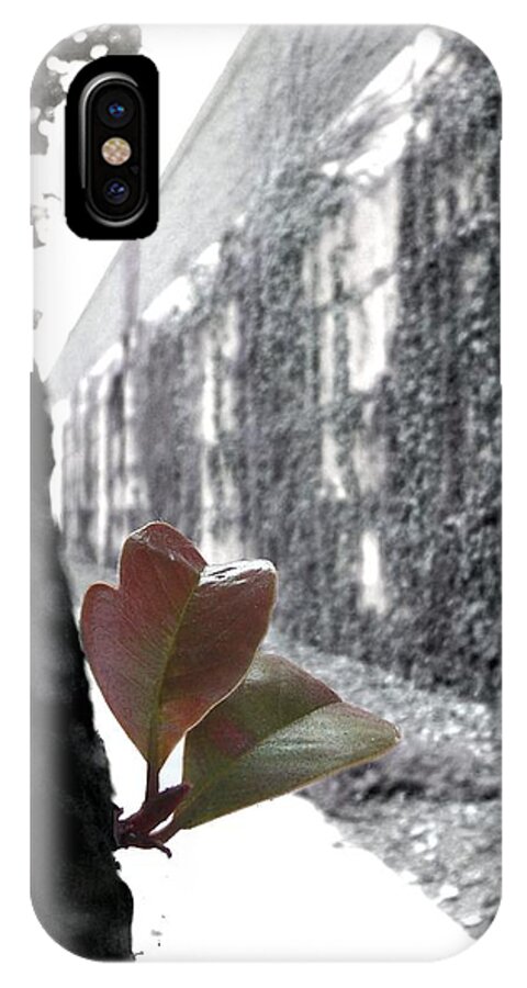Black And White iPhone X Case featuring the photograph Let's Go Together by Glenn McCarthy Art and Photography